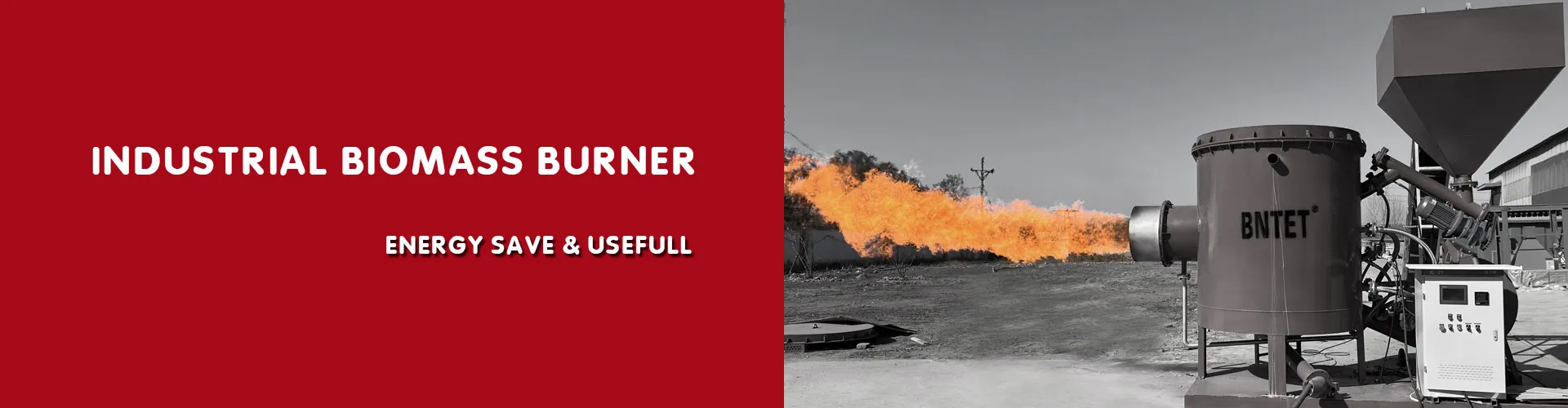 Biomass pellet burner