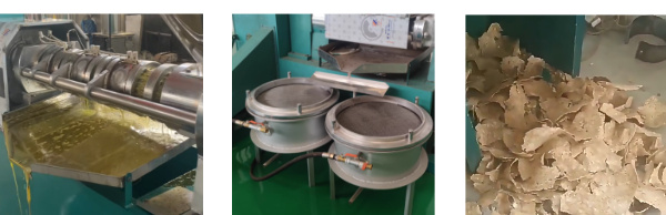 Screw Oil Press Details