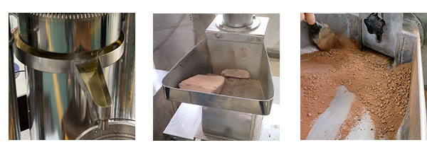 Cocoa production line