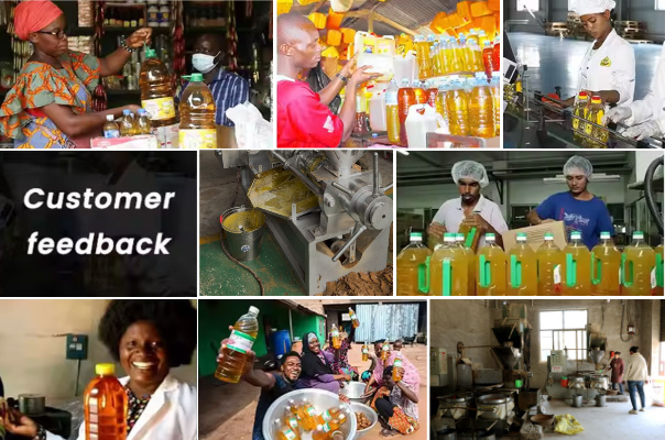 Characteristics and Oil Yields of Various Oil Crops 