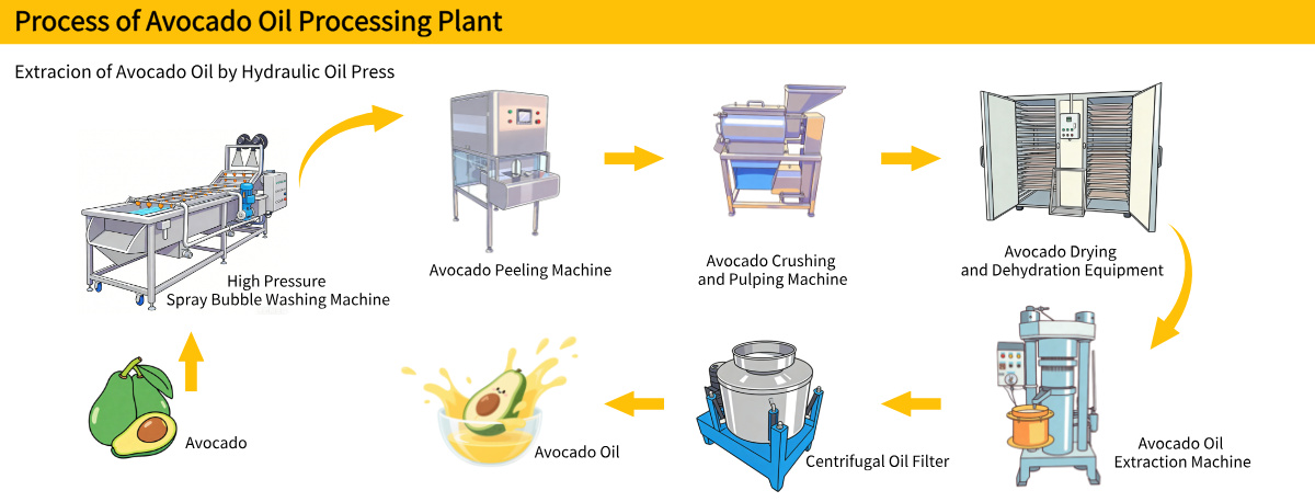 Avocado Oil Processing Plant Avocado Oil Processing Plant