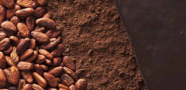 Cocoa Processing Solutions