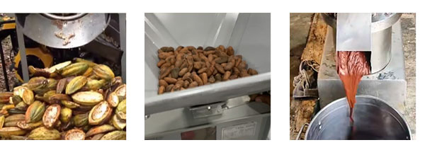 Cocoa production line