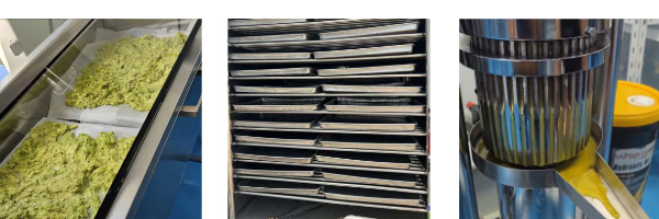 Avocado Production Line