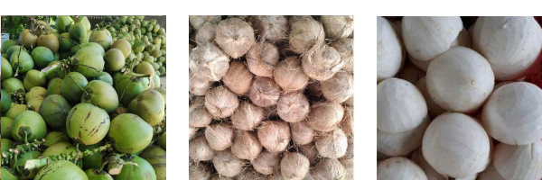 Coconut Oil Production Line