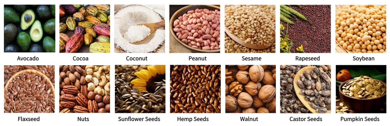 Coconut oil press machine Coconut oil press machine