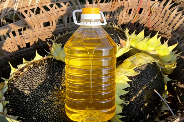How is Premium Sunflower Seed Oil Processed and Produced 