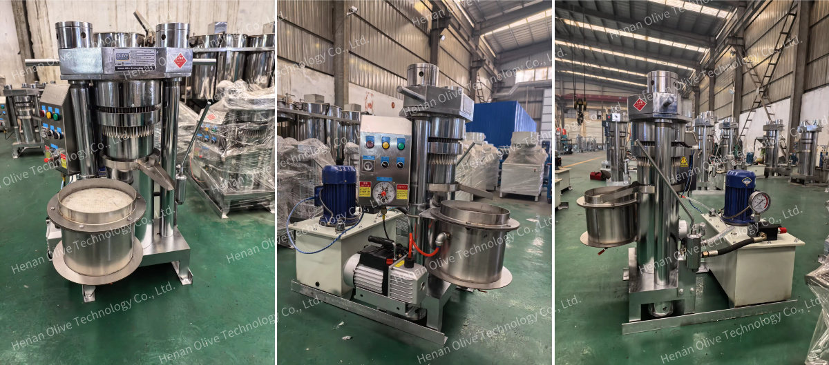 coconut cold oil press machine