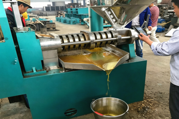 Latest Innovations in Screw Oil Press Technology for Higher Efficiency 