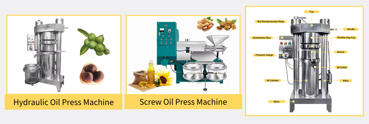 hydraulic cold press oil machine for cacay oil