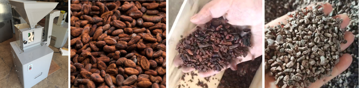 Cocoa Bean Peeling Machine