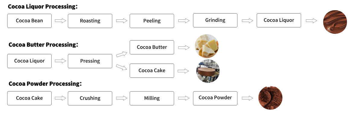Cocoa Processing Line Equipment