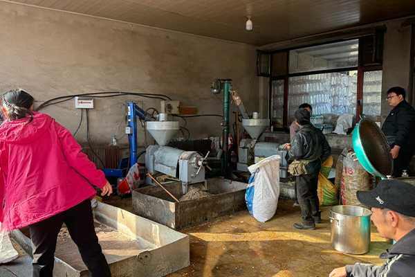 Sunflower Oil Processing Line with Screw Press and Batch Refining System 
